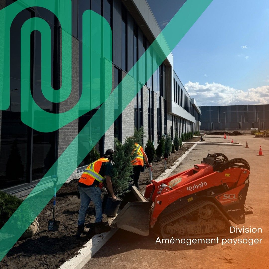 Un homme plante un arbre devant un bâtiment.