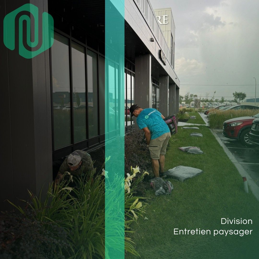 Un homme en chemise bleue travaille sur une pelouse devant un bâtiment.