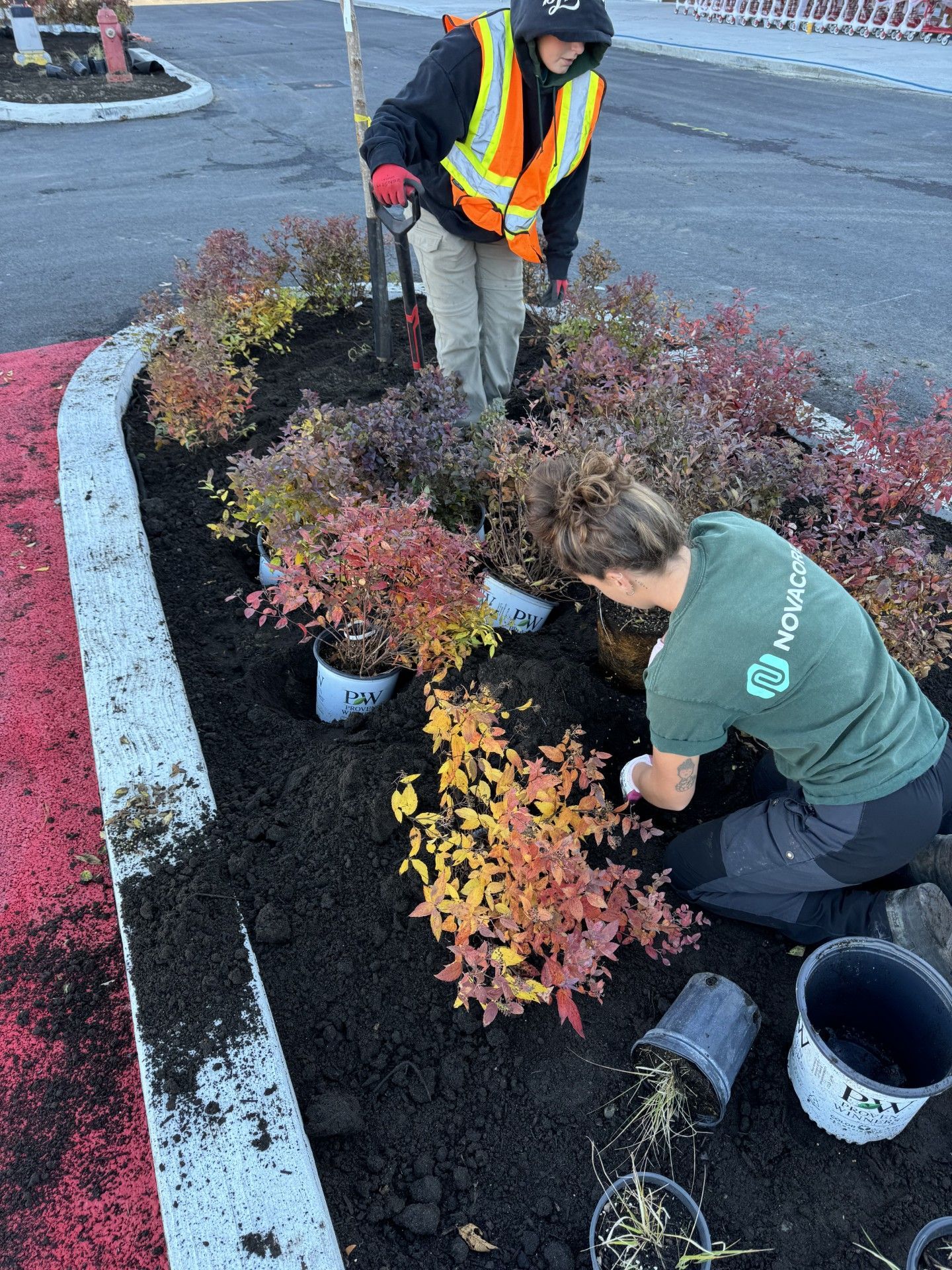 Un homme et une femme plantent des plantes dans un jardin.