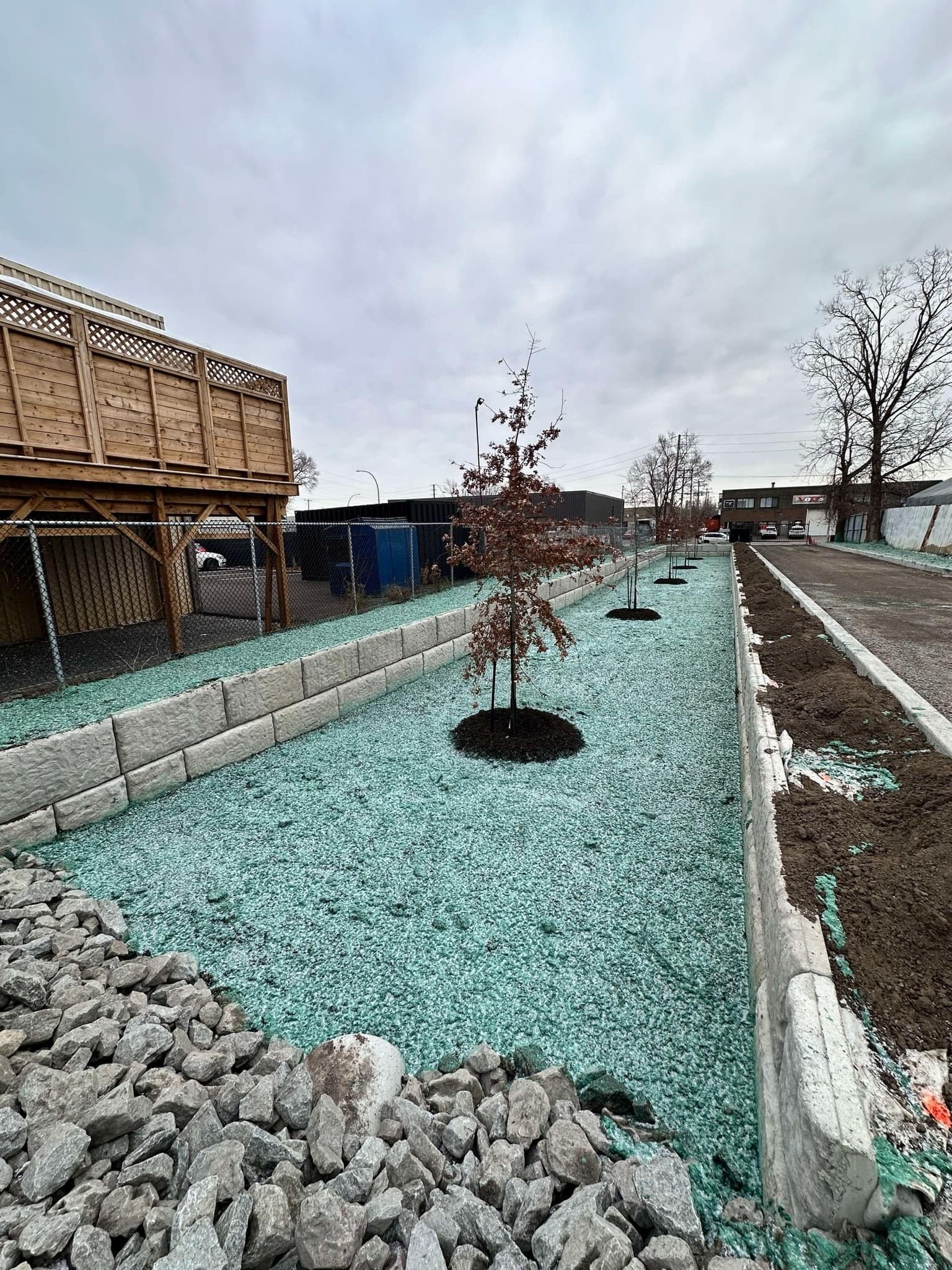 Un arbre pousse dans un jardin rempli de gravier vert.