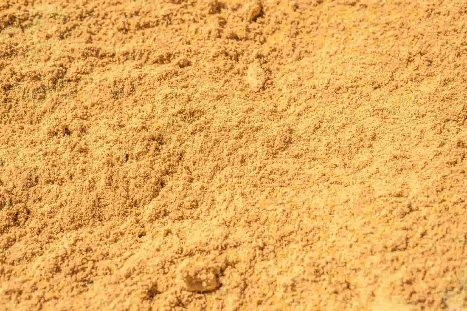 Close-up of golden-brown sawdust, with a coarse, textured appearance.