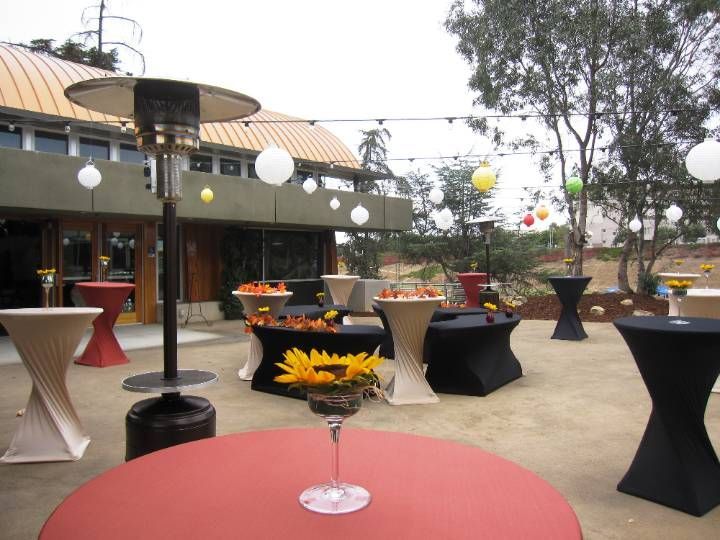 A table with a martini glass and a sunflower on it