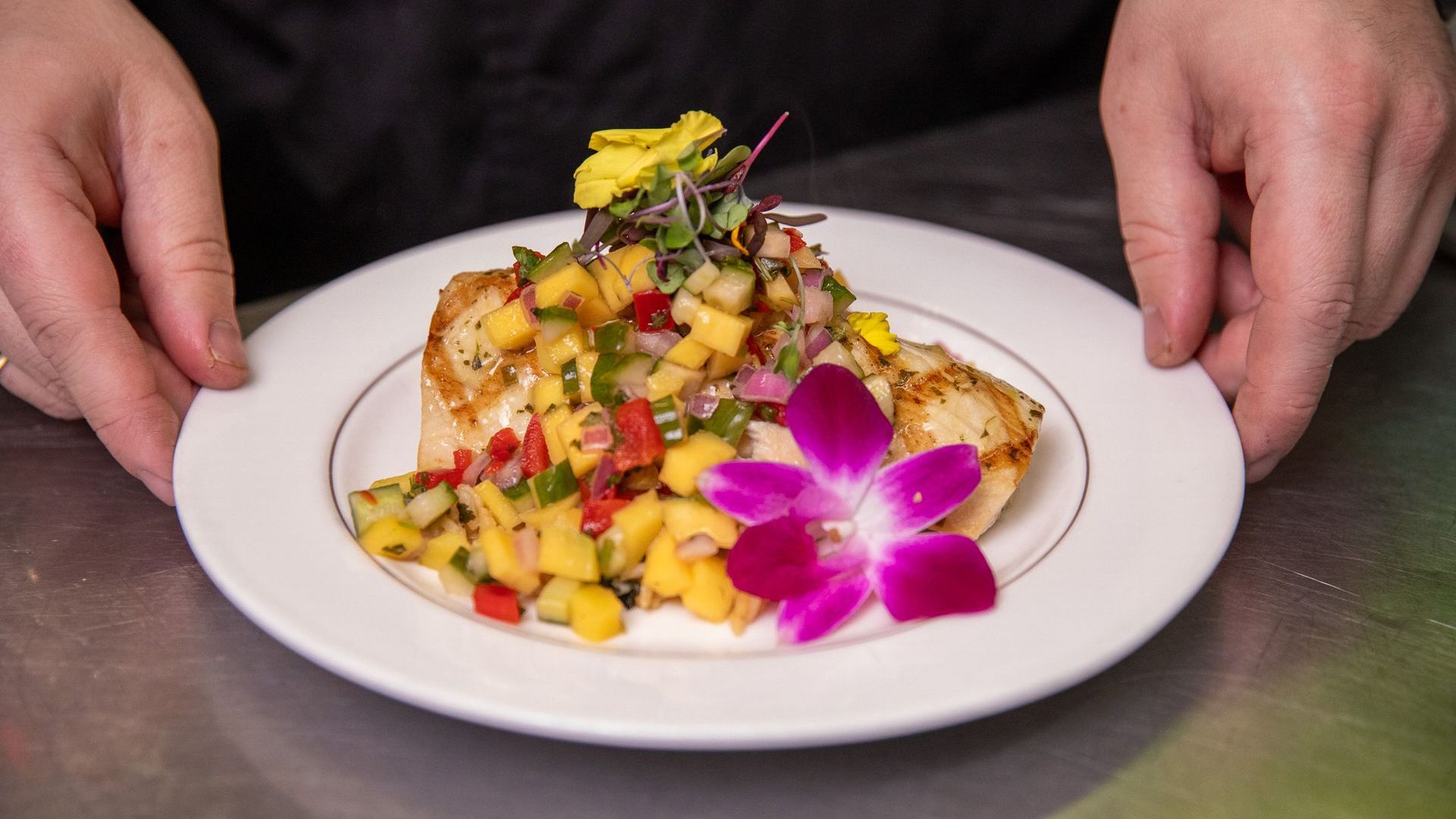 plated meal catering