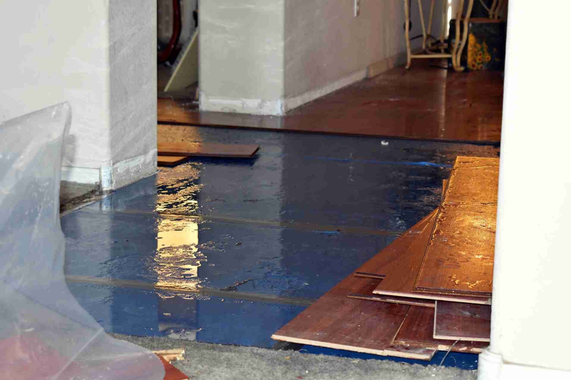 Signs of Water Damage in Home and How to Address Them