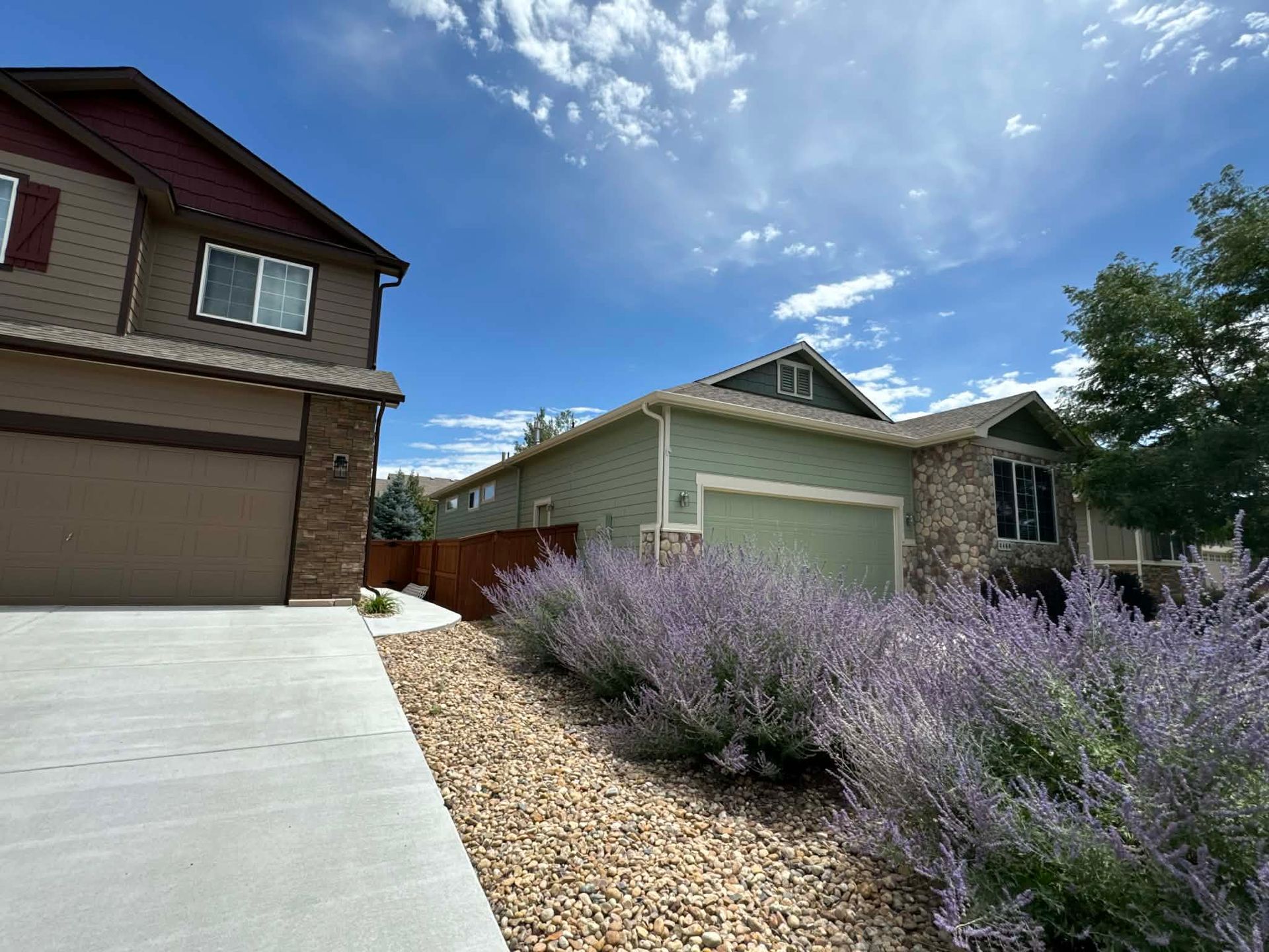 A suburban street scene showing a brown two-story house next to a light green one, fronted by purple flowers and gravel.