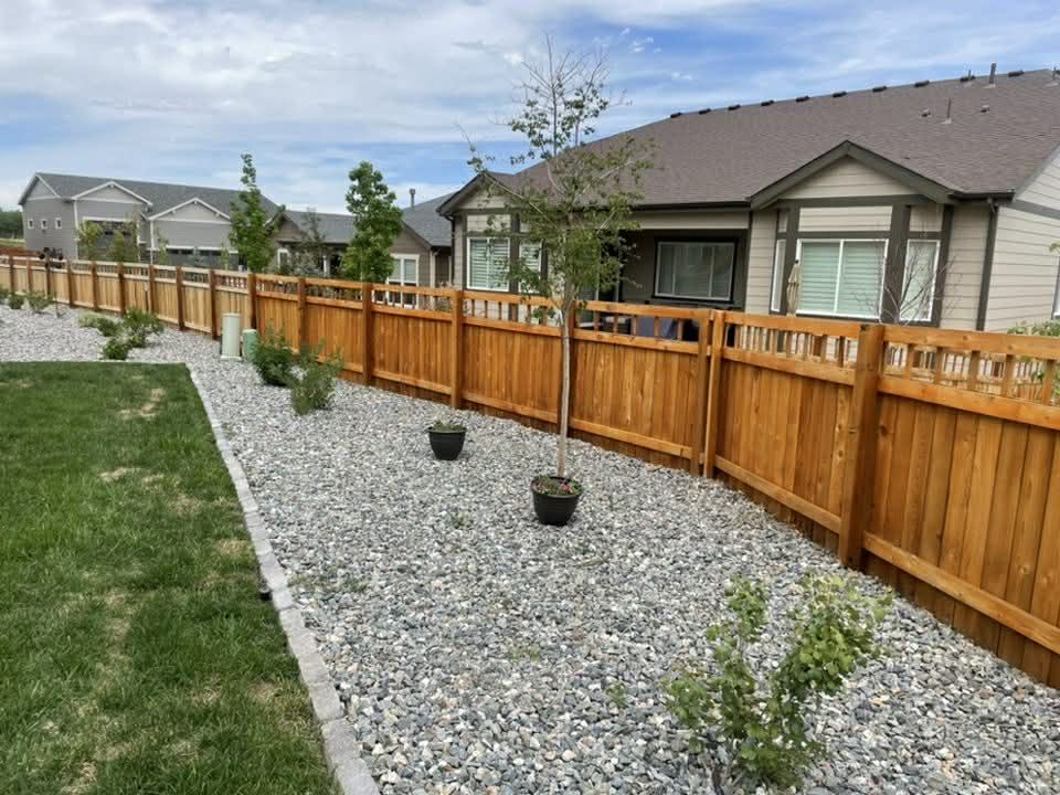 A wooden fence separates a gravel yard with small potted plants and young trees from houses in a suburban neighborhood.