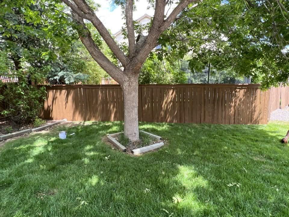 A backyard scene featuring a large tree with a small wooden square border at its base, set against a dark brown fence.