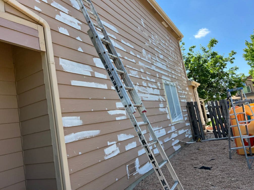 An extension ladder leans against a light-brown house wall with extensive paint peeling and exposed white substrate.