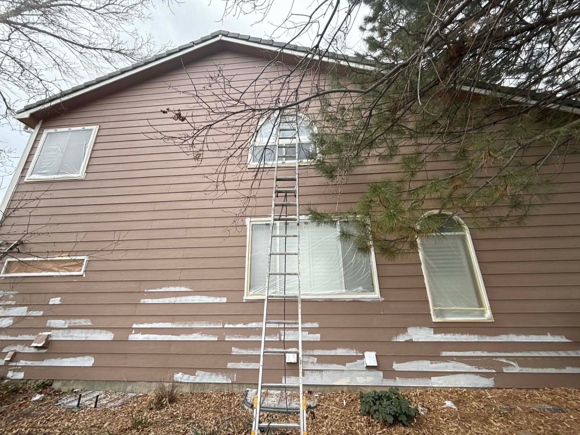 An extension ladder leans against the exterior wall of a house with peeling brown paint and multiple windows.