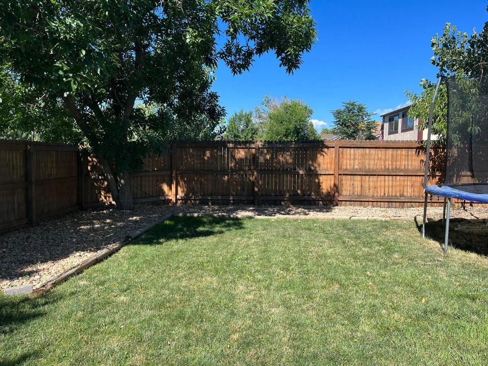A backyard features a green lawn bordered by decorative stones, a wooden fence, and a tree under a clear blue sky.
