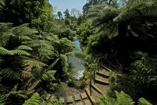 The lost gardens of Heligan