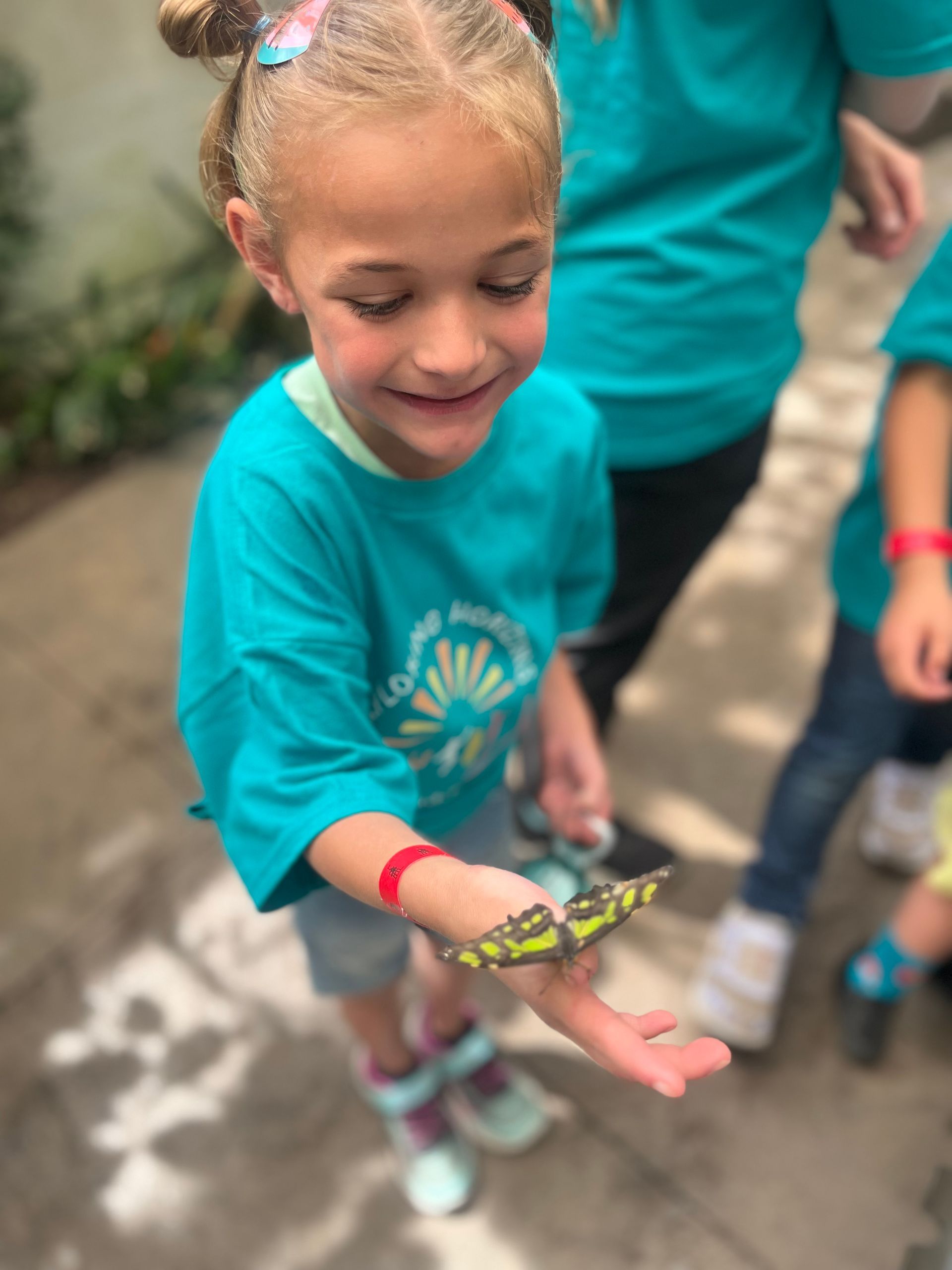 A little girl is holding a butterfly on her hand.