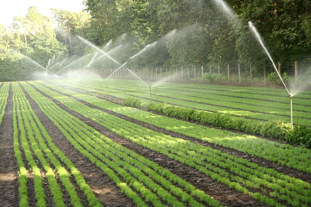 impianto d'irrigazione per l'orto