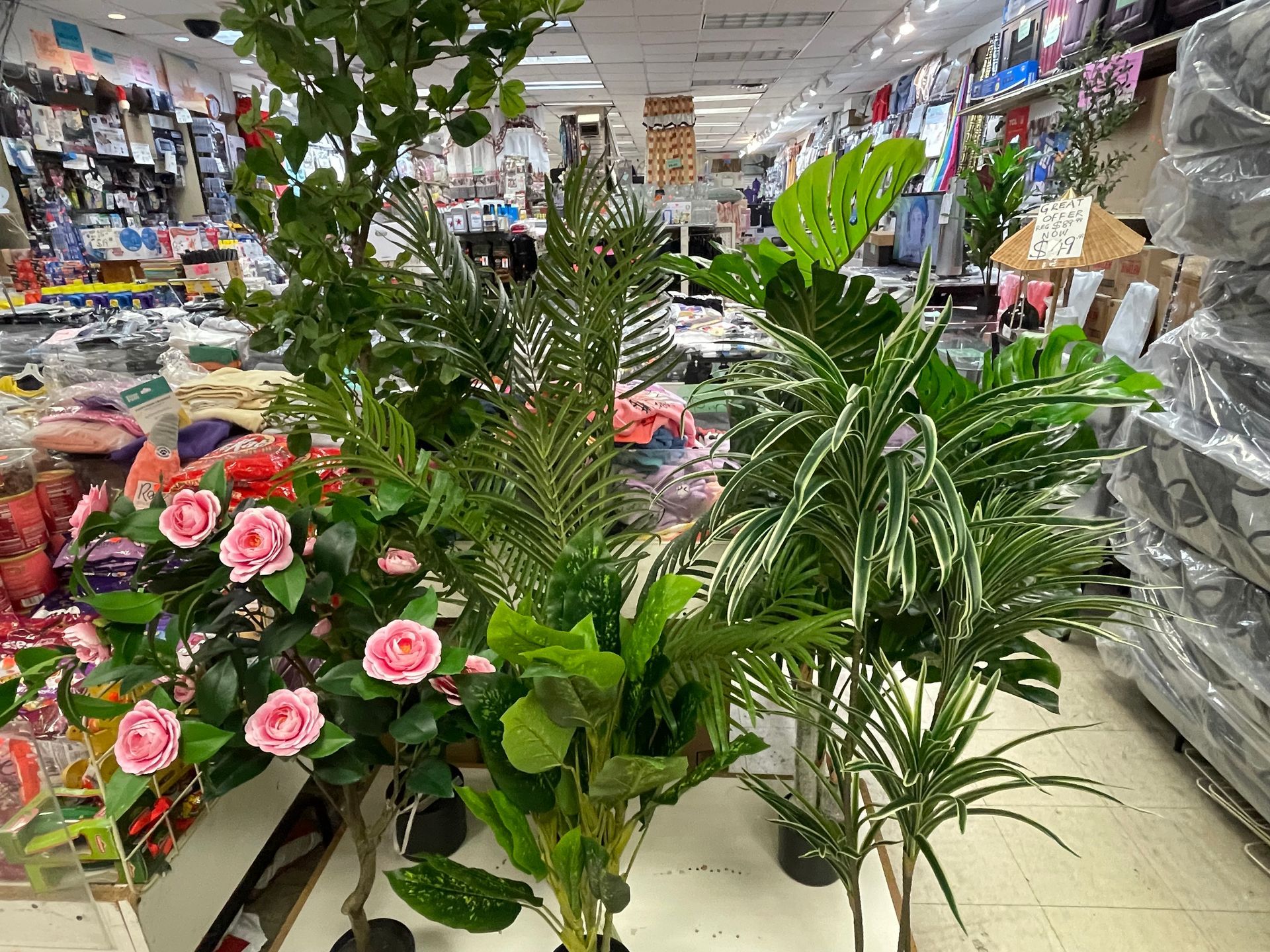 A store filled with lots of plants and flowers.
