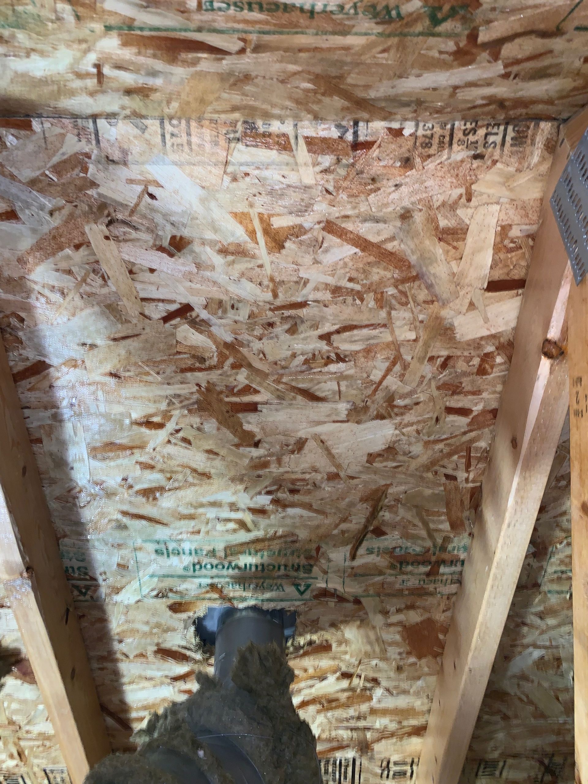 mold remediation after