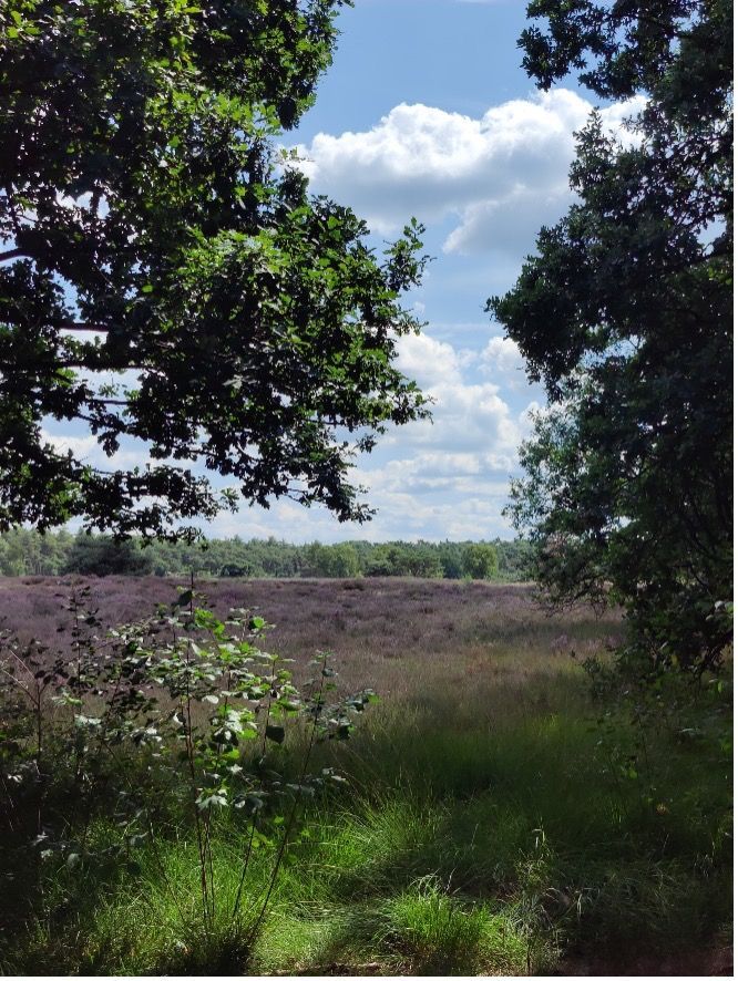 Be-Yourself logo! An Bollen. Foto Lommelse Sahara.
