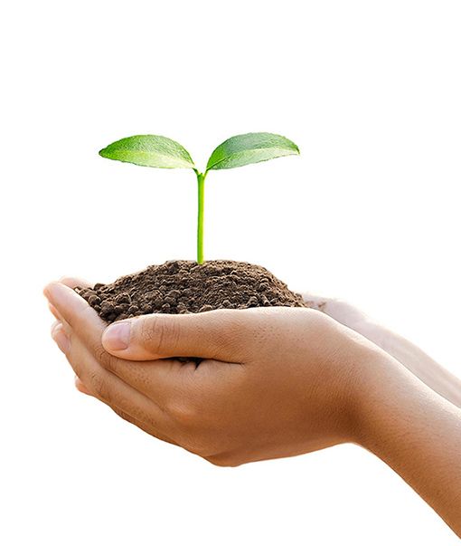 Beacon of Hope Counselling, Kasorn Campbell