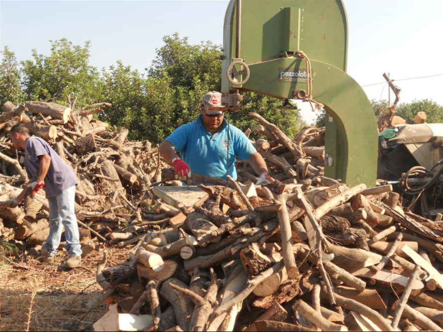 ESPERIENZA E PROFESSIONALITÀ