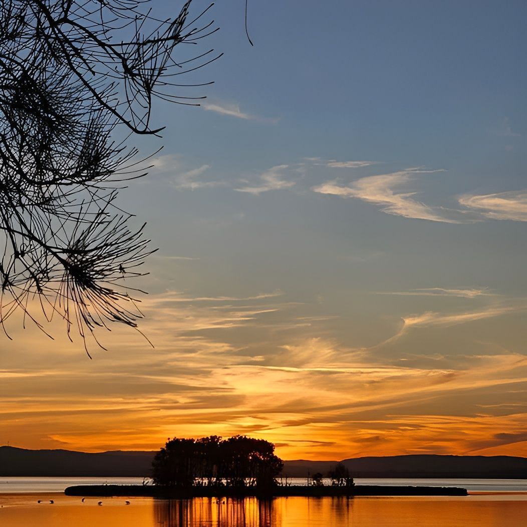 A Small Island In The Middle Of A Lake At Sunset — Coastal Vibez In The Entrance, NSW