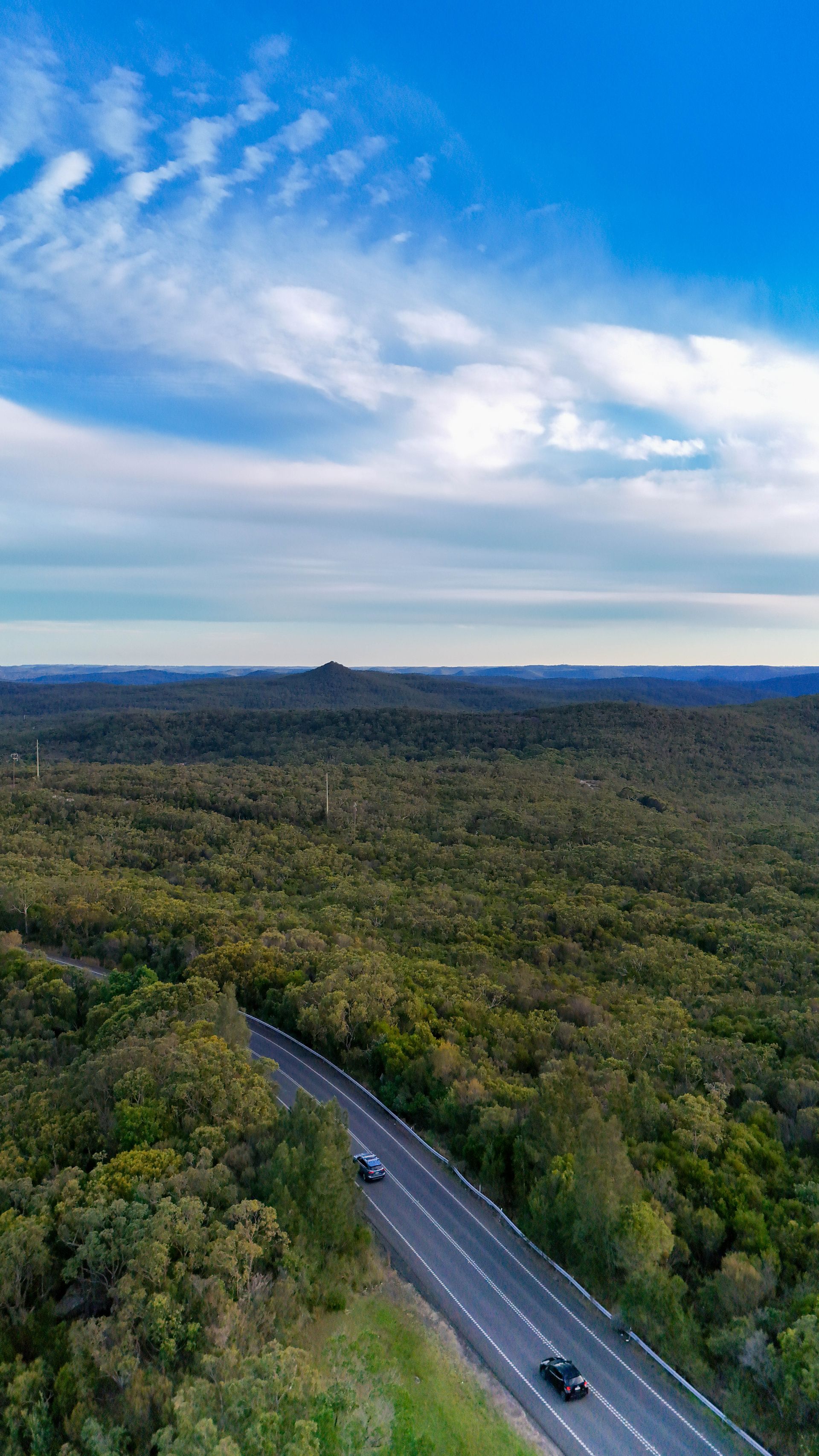 Two cars driving on an empty road in the middle of a large landscape of bushland — Coastal Vibez In The Entrance, NSW
