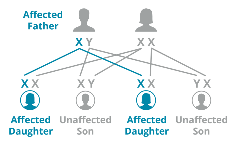 Diagram showing a father (XY) with a genetic condition and a healthy mother (XX), with potential offspring genotypes and phenotypes.