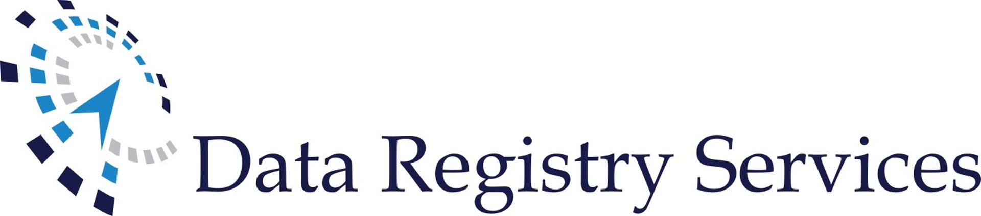 Data Registry Services logo with a blue and white design resembling a clock.