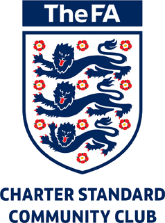 FA Standard Chartered Image