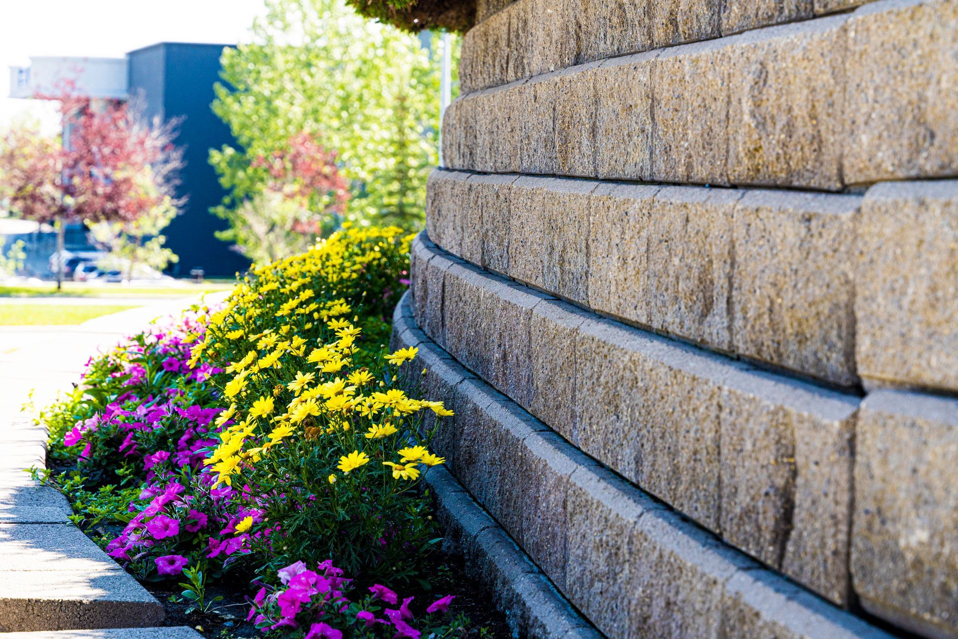 A brick wall with flowers in front of it.