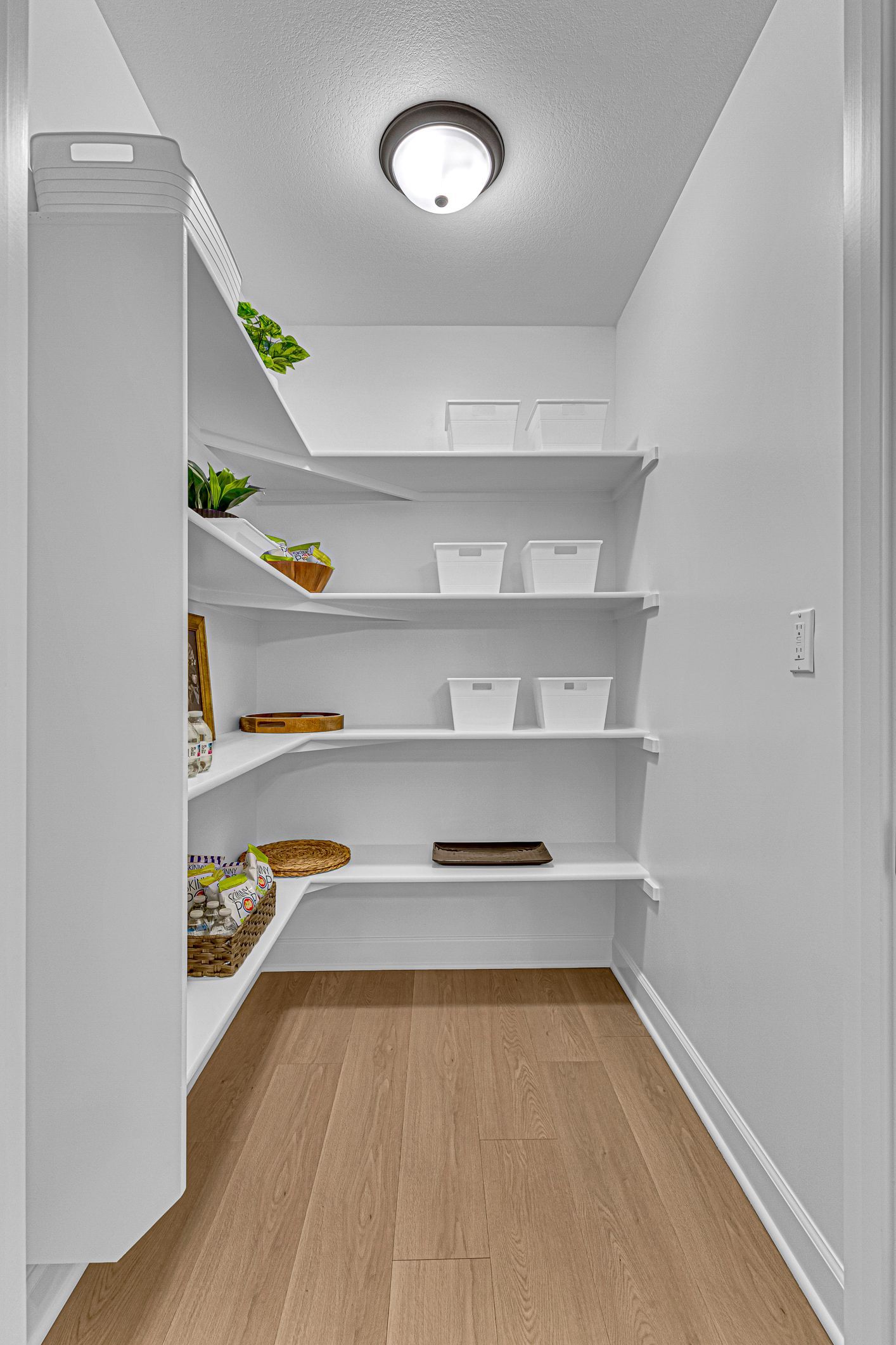 Oversized walk-in pantry with shelving