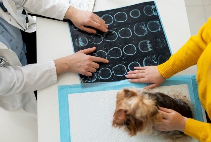 Veterinaria Mundo de Mascotas