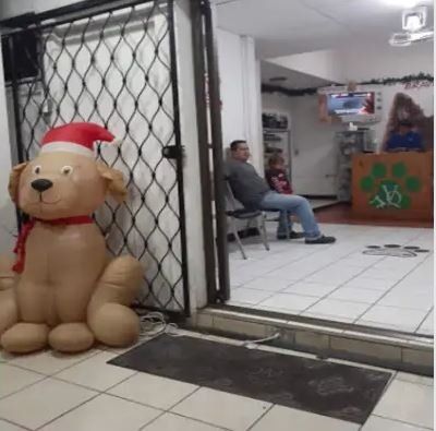 Veterinaria Mundo de Mascotas