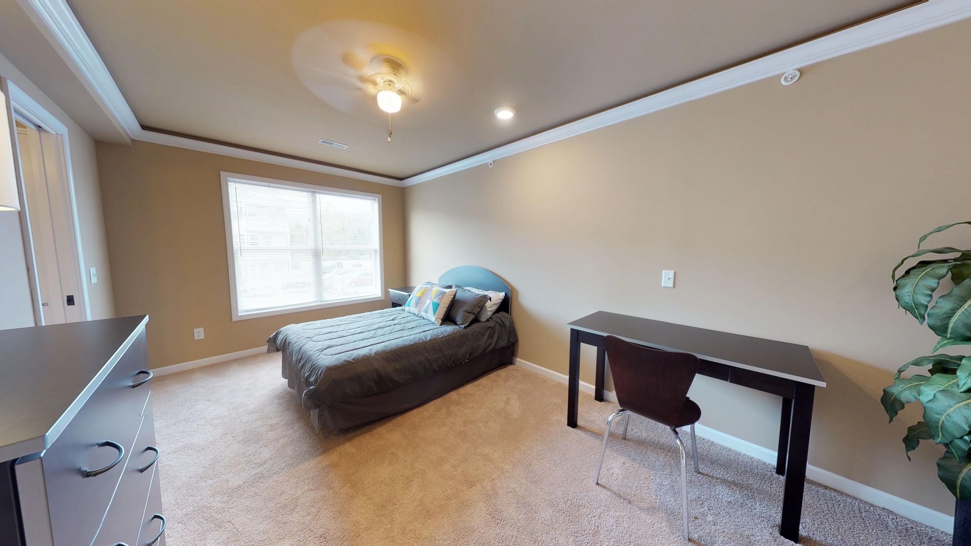 A bedroom with a bed , desk and dresser.