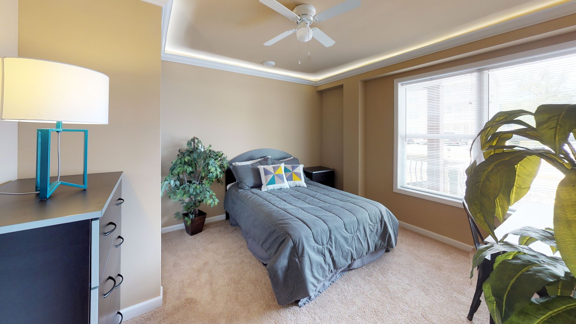 A bedroom with a bed , dresser , lamp and ceiling fan.