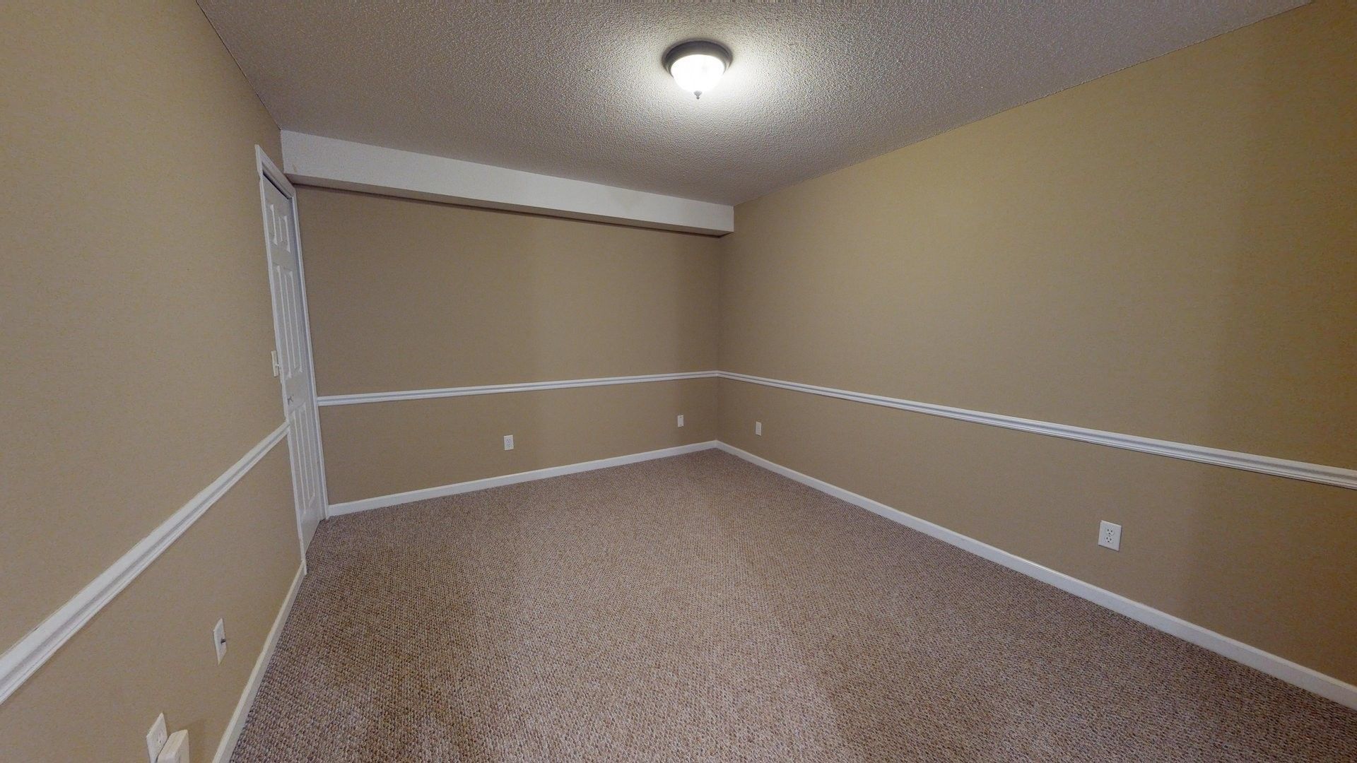 An empty room with brown walls and a carpeted floor.