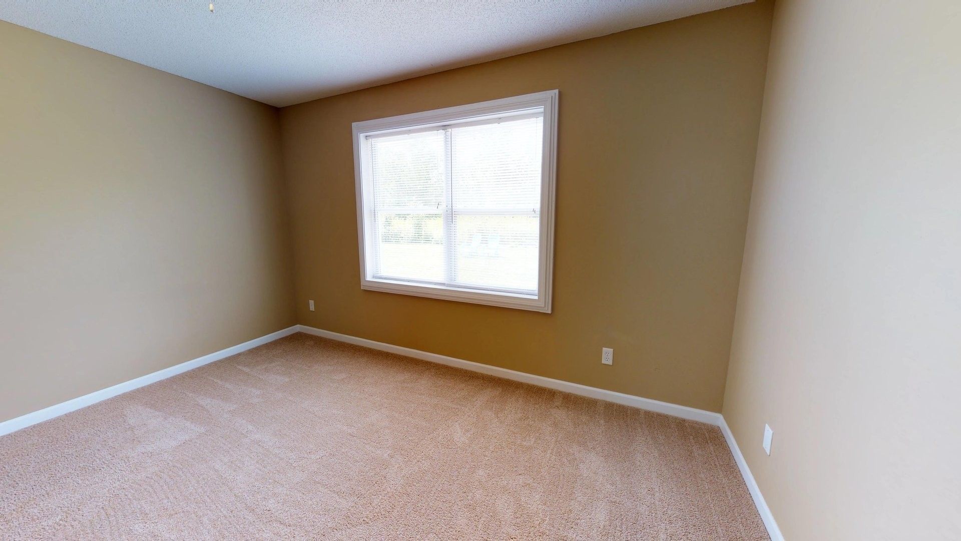 An empty bedroom with a window and carpet.