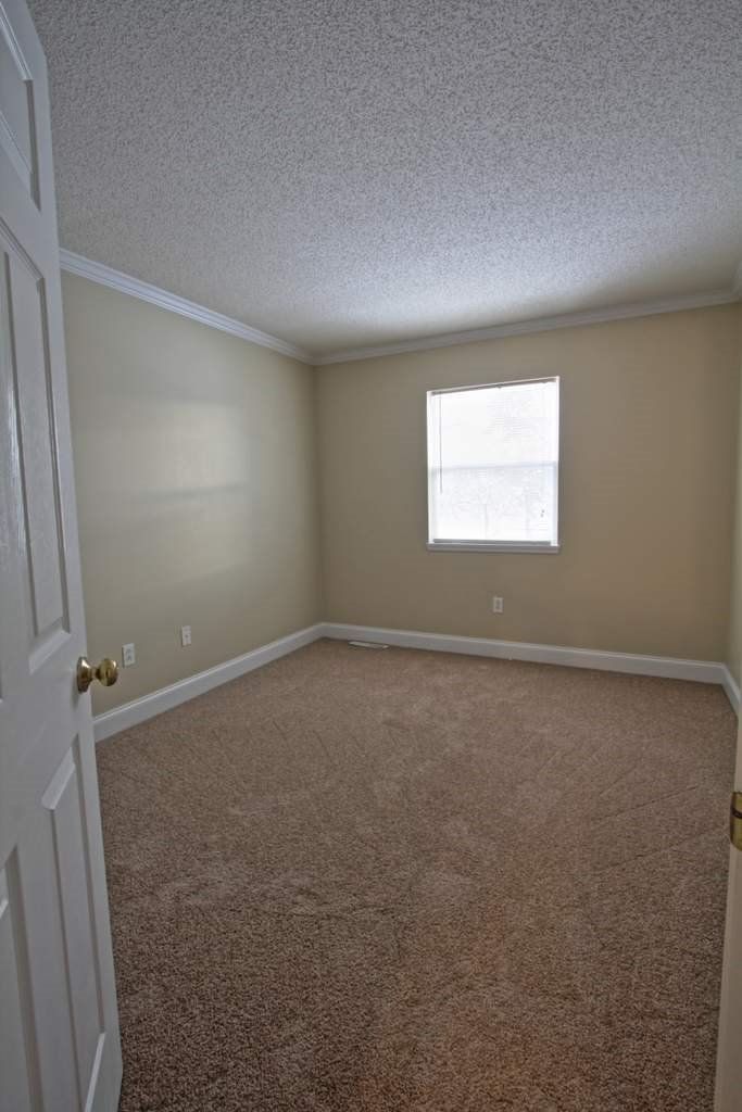 An empty bedroom with a window and a carpeted floor.