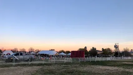 A group of people are standing in a field at sunset.