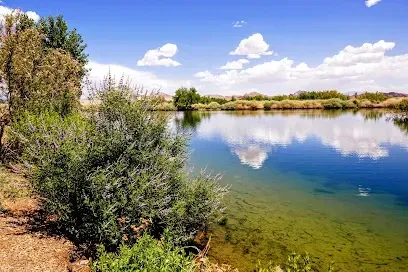 A large body of water surrounded by trees and bushes on a sunny day.