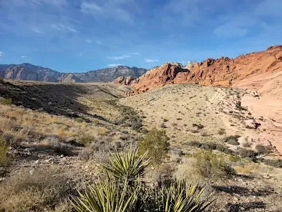 A desert landscape with mountains in the background and a cactus in the foreground.