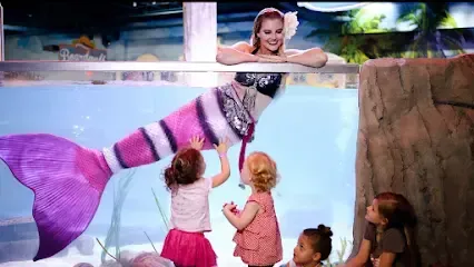 A group of little girls are looking at a mermaid in an aquarium.