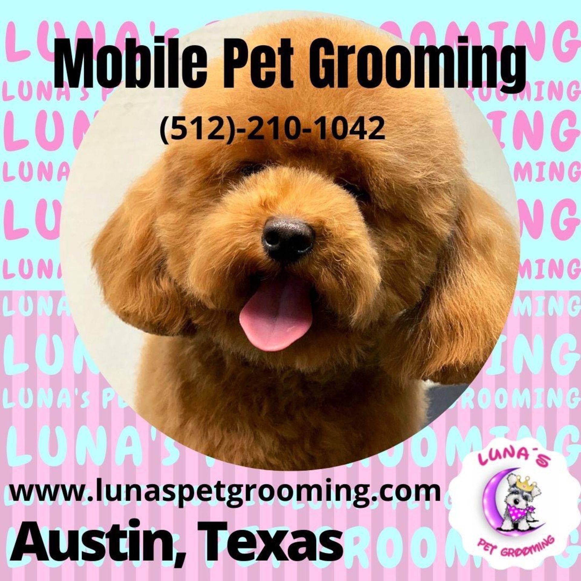 An ad for mobile pet grooming in austin texas