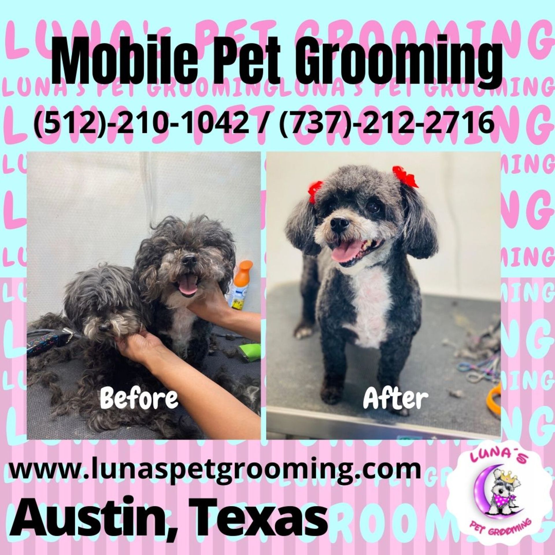 An ad for mobile pet grooming in austin texas