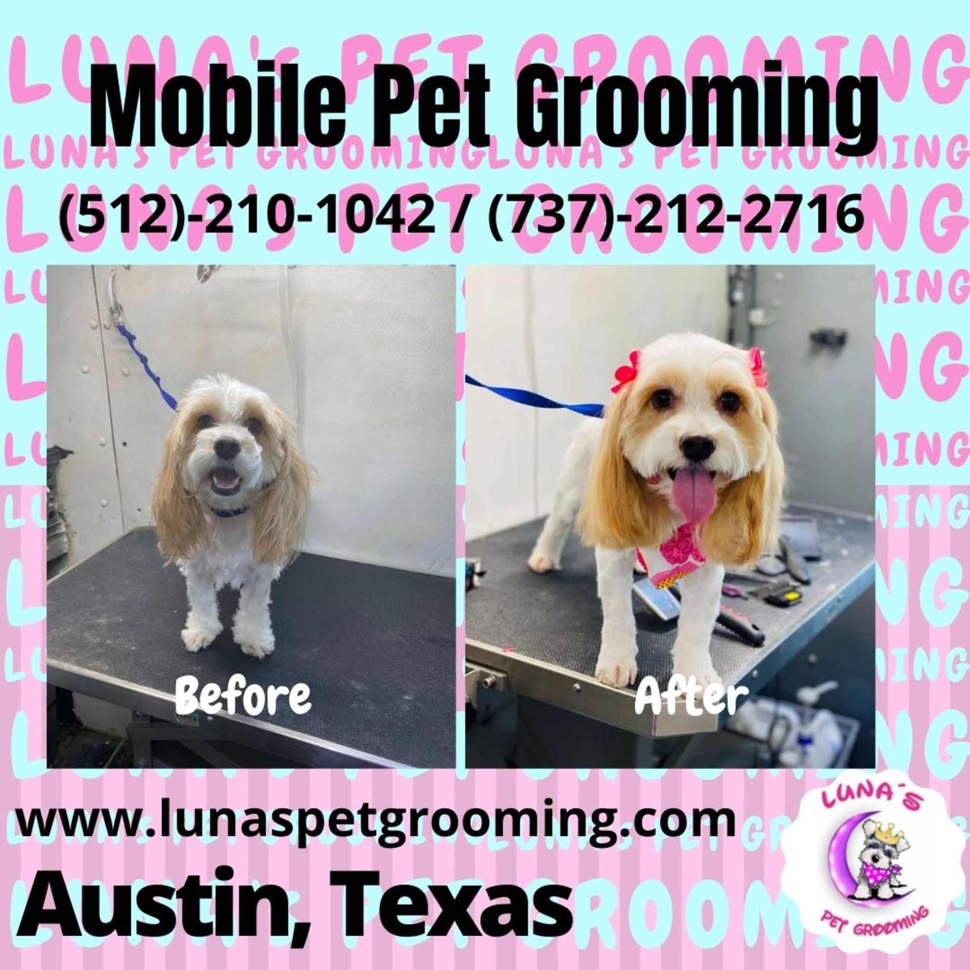 An ad for mobile pet grooming in austin texas