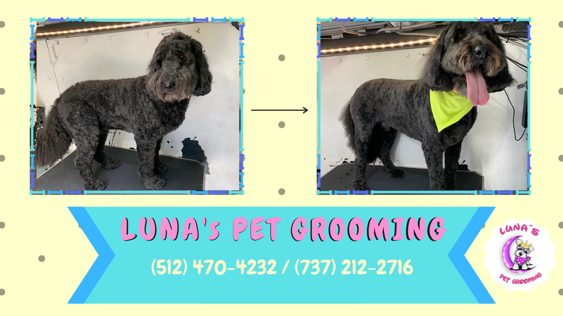 A poster for luna 's pet grooming shows a dog before and after being groomed
