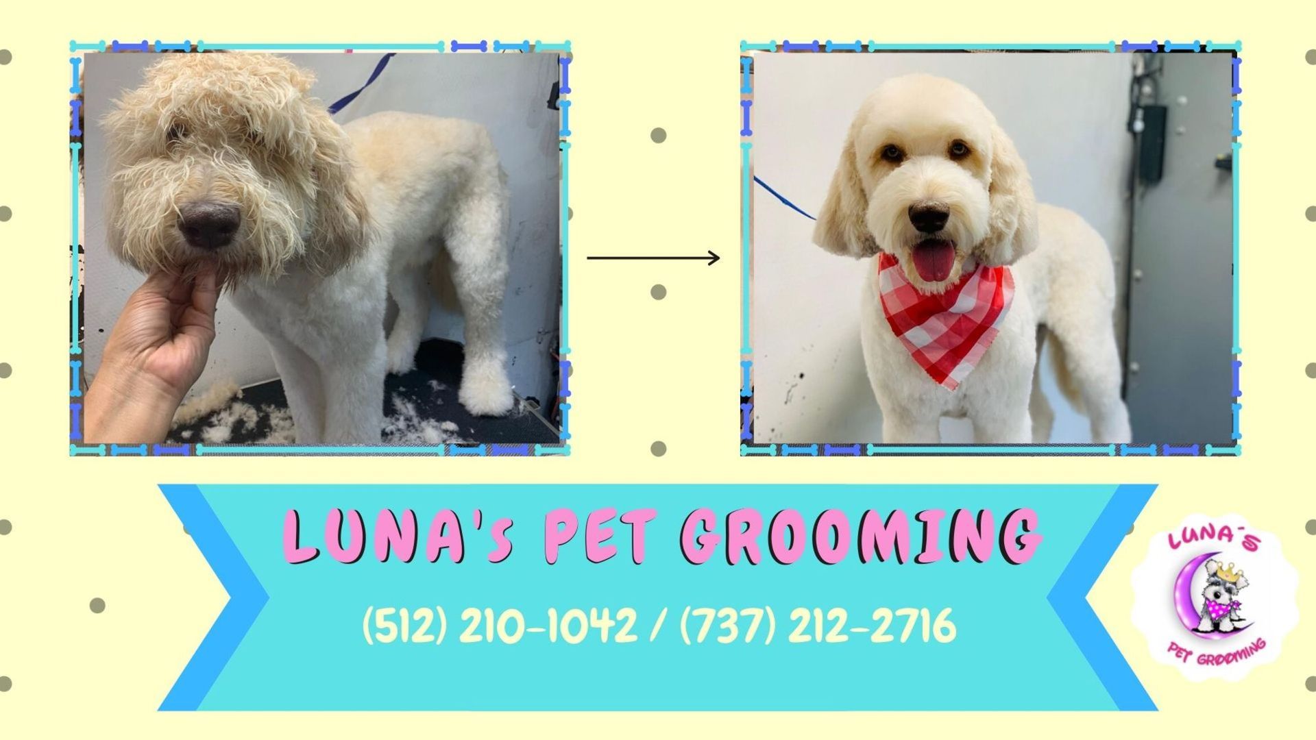 A poster for luna 's pet grooming shows two dogs