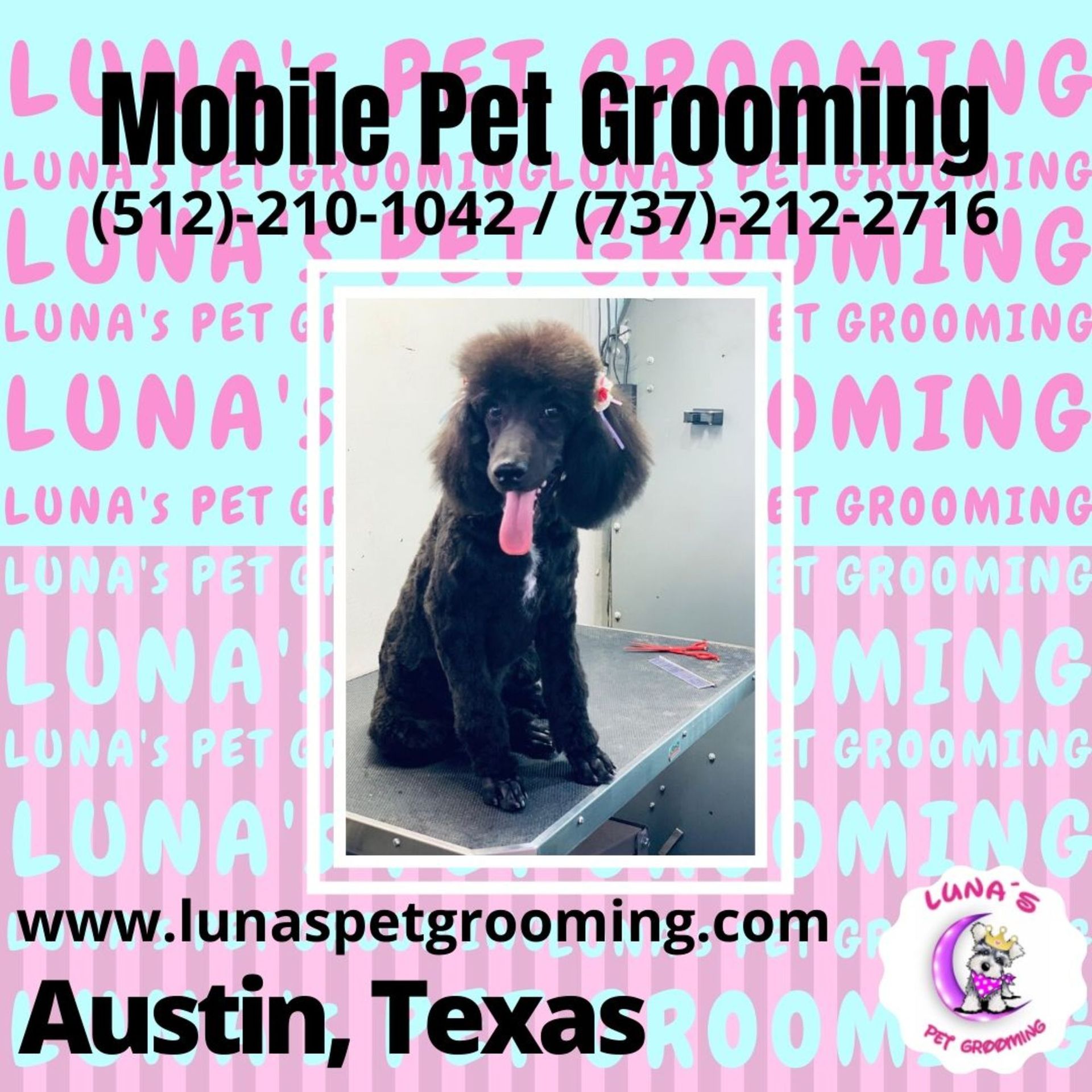 An ad for mobile pet grooming in austin texas
