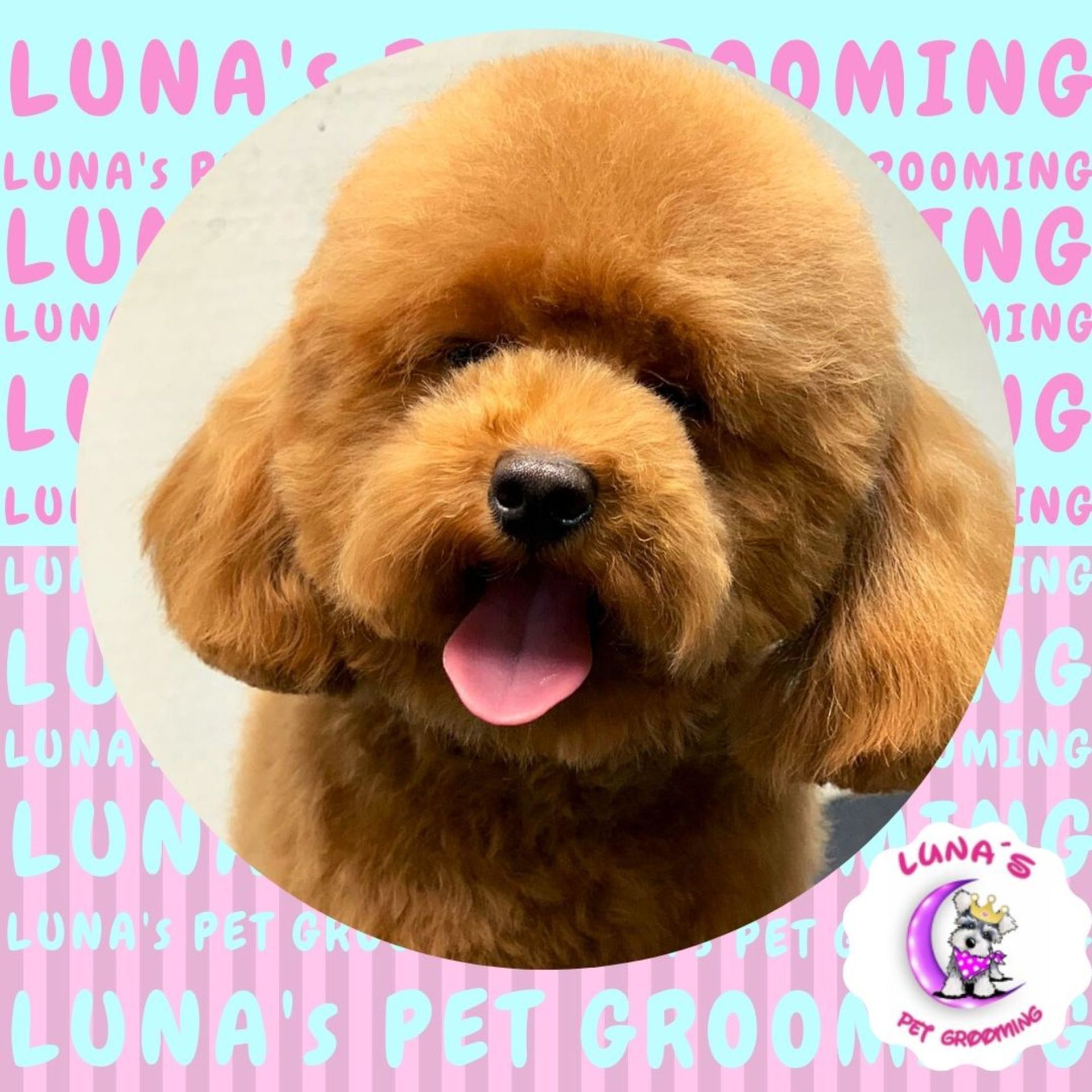 A picture of a dog with its tongue hanging out and the words luna 's pet grooming behind it