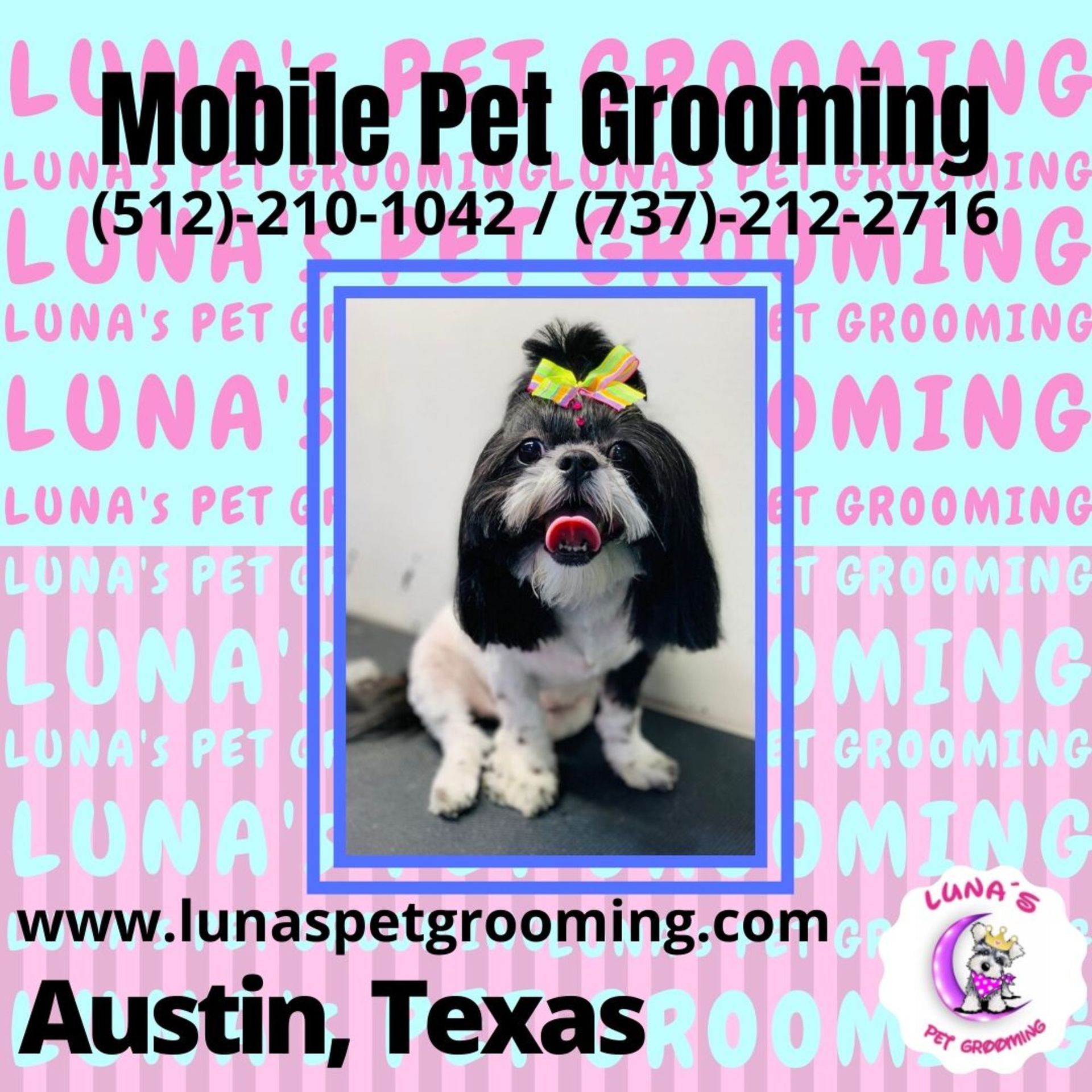 A flyer for mobile pet grooming in austin texas