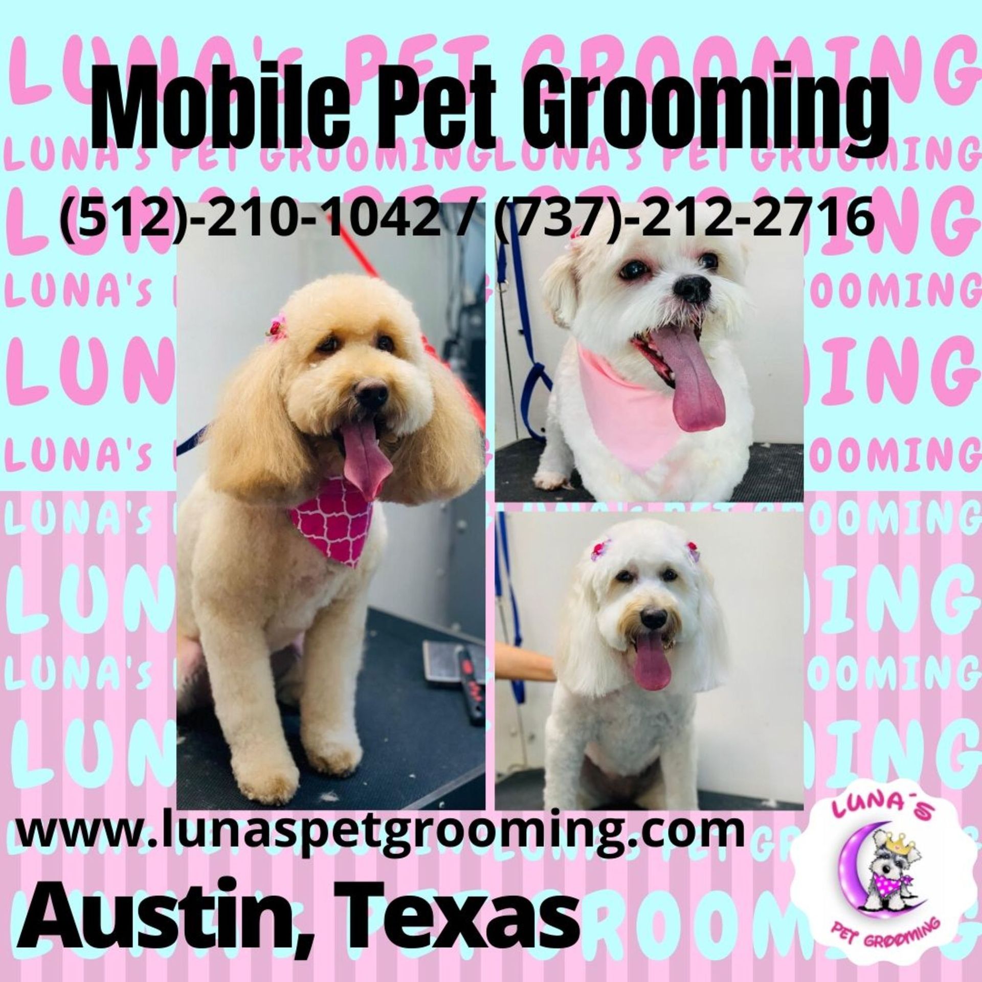 An ad for mobile pet grooming in austin texas