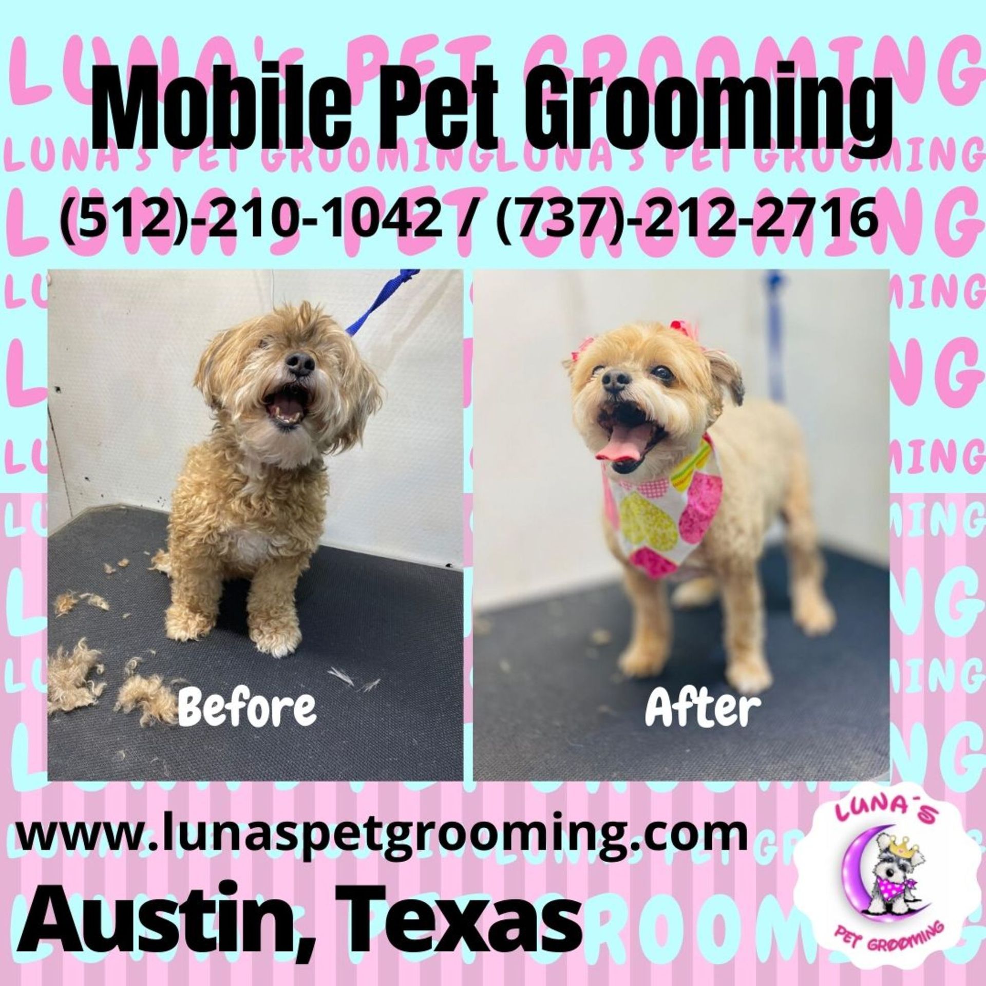 An ad for mobile pet grooming in austin texas
